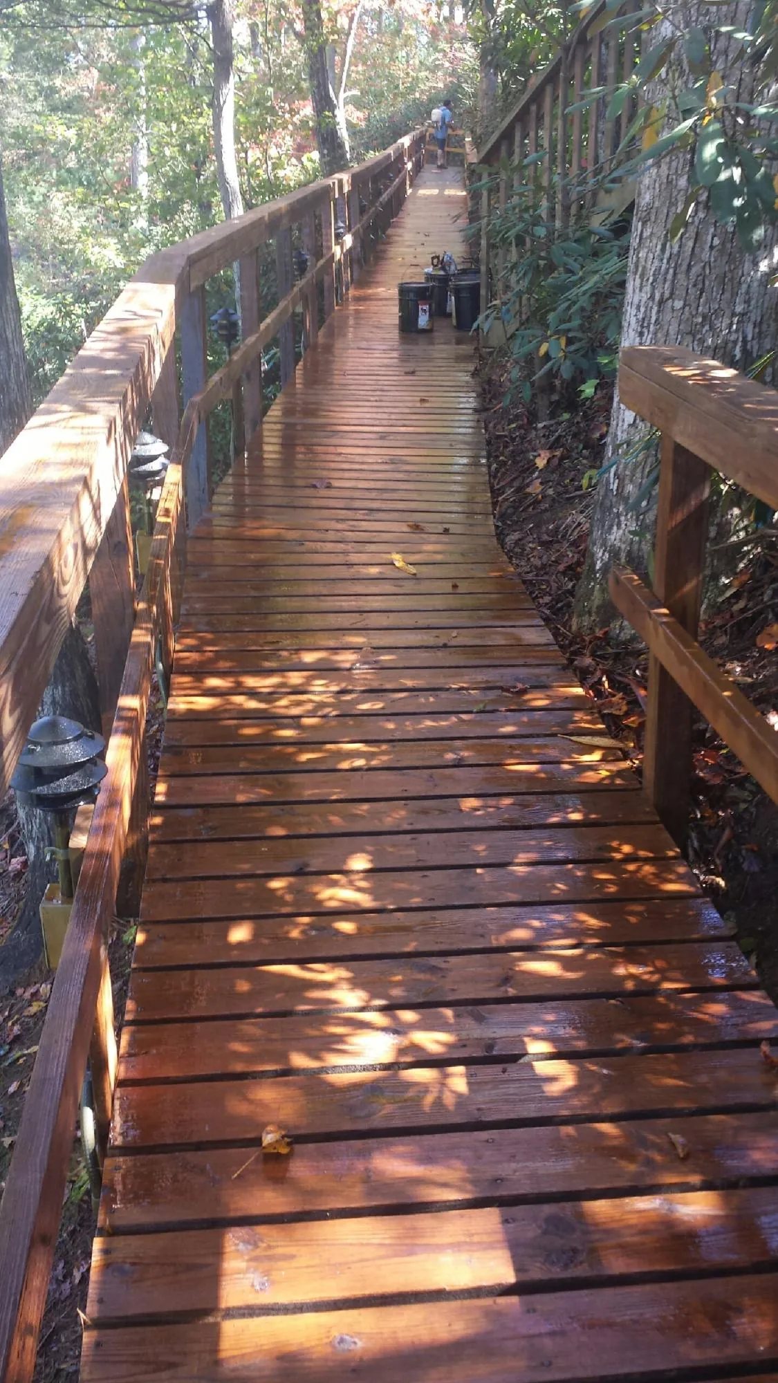 Freshly stained wood walkway winding through the woods in Kenilworth